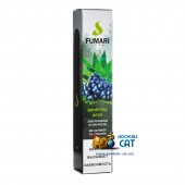 Одноразовая электронная сигарета Fumari (Фумари) Виноград Алоэ 800 затяжек Одноразовая электронная сигарета Fumari (Фумари) Виноград Алоэ 800 затяжек
